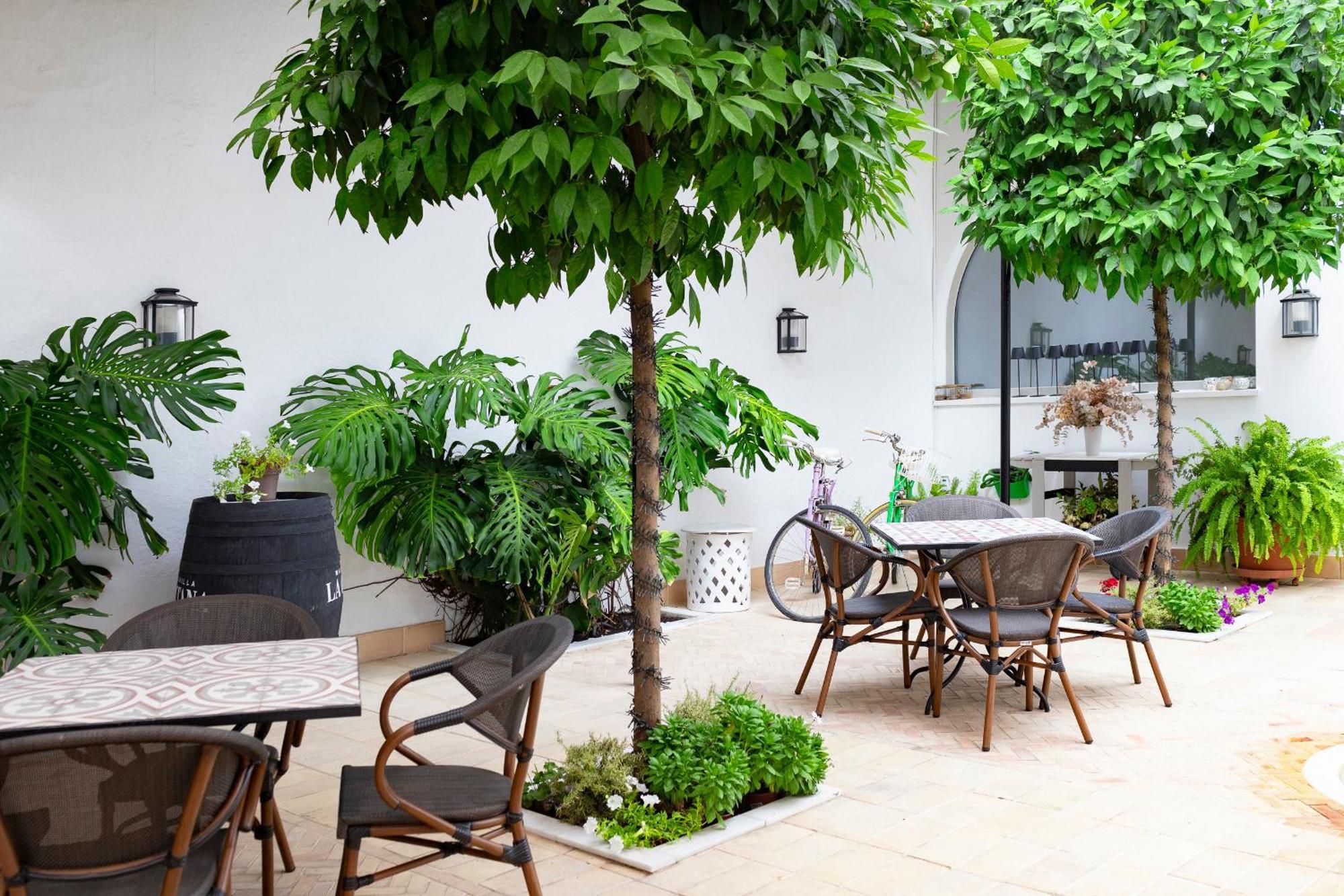 Albariza Hotel Boutique 桑卢卡尔-德巴拉梅达 外观 照片